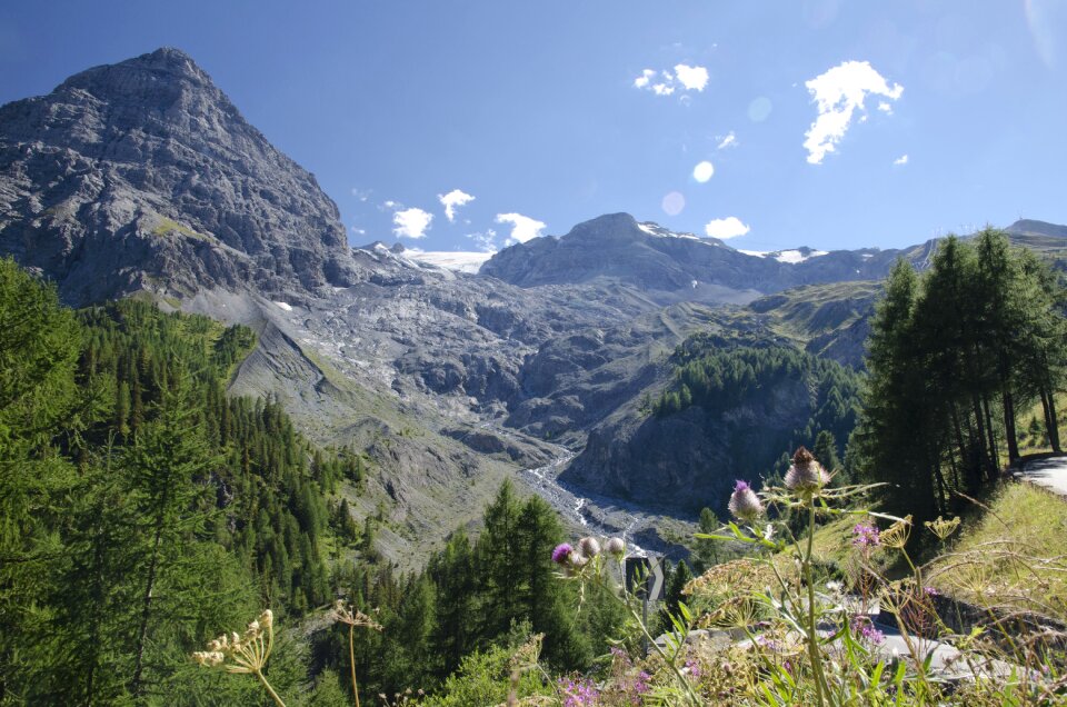 The alps stelvio italy