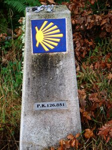 Camino santiago landscape spain