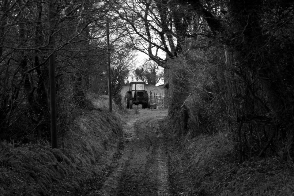 Life country nature