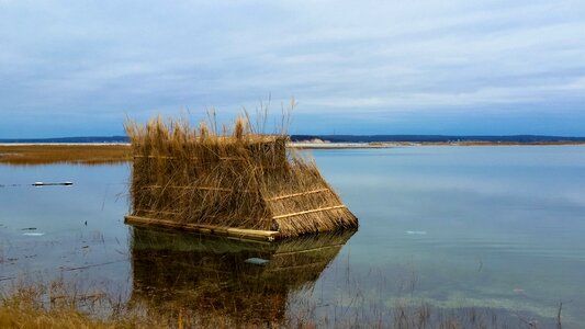 Hunting water wildlife