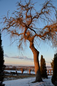 Winter park rest