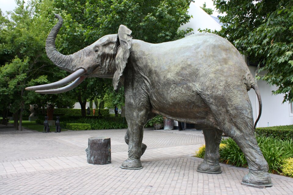 Wine estate grande provence elephant statue