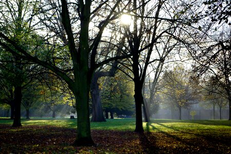 Green nature capital