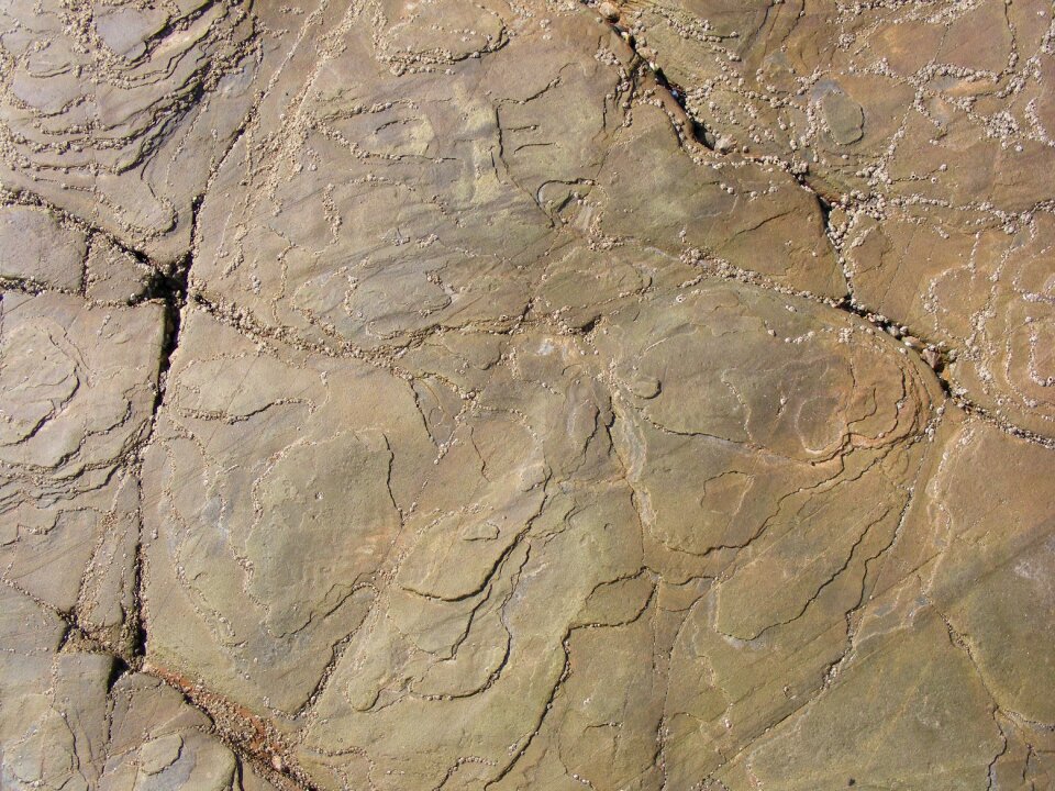 Purple stone granite
