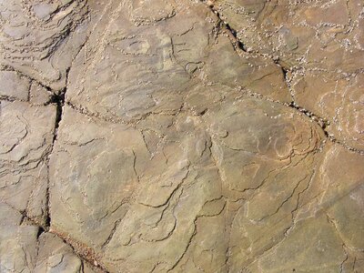 Purple stone granite