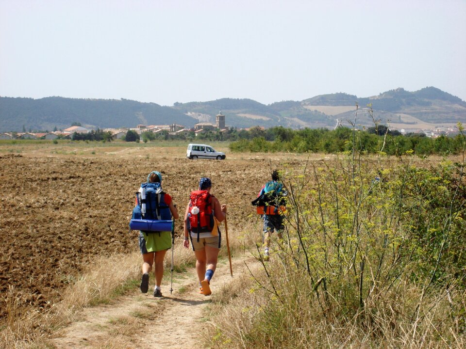 Galicia walk field