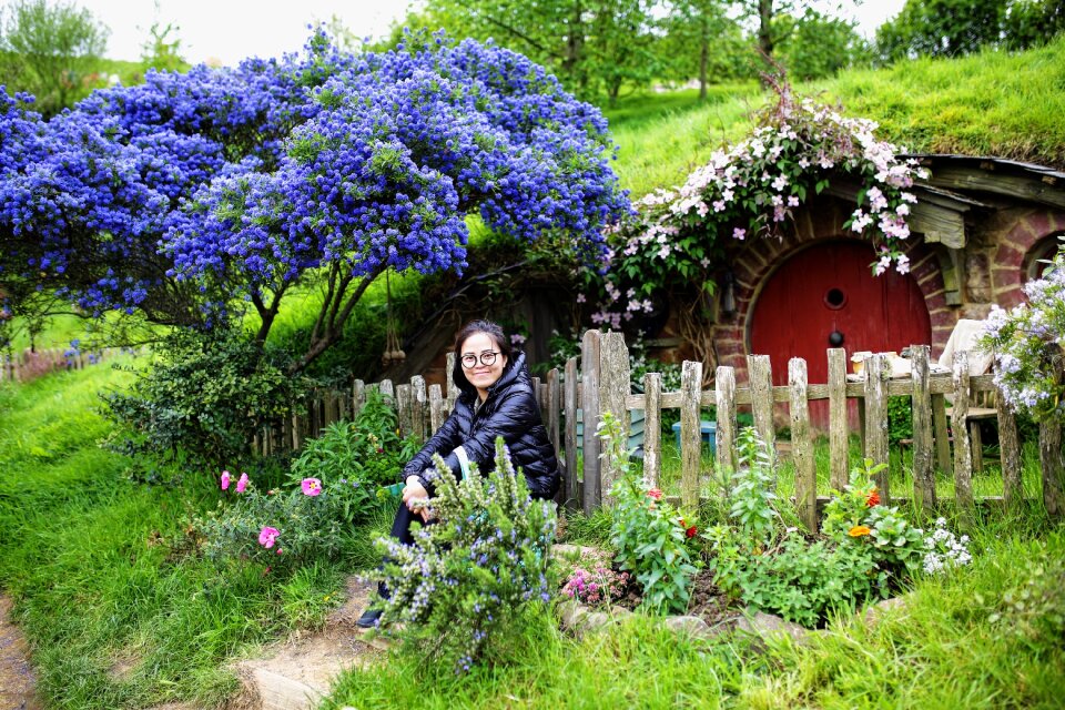 The hobby the shire matamata