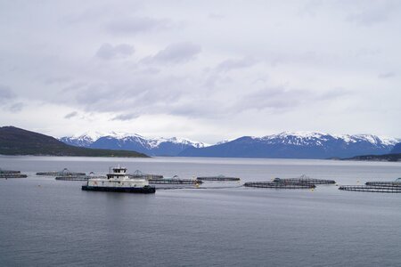 Norway salmon farming norwegian sea
