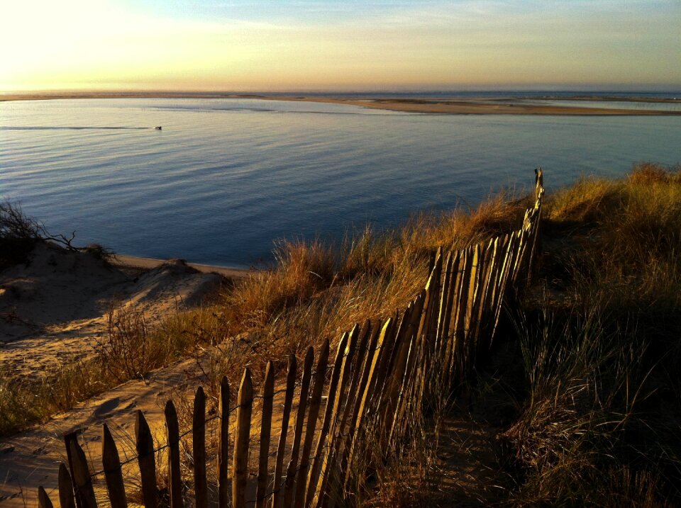 Wooden palisade dune ridge summer
