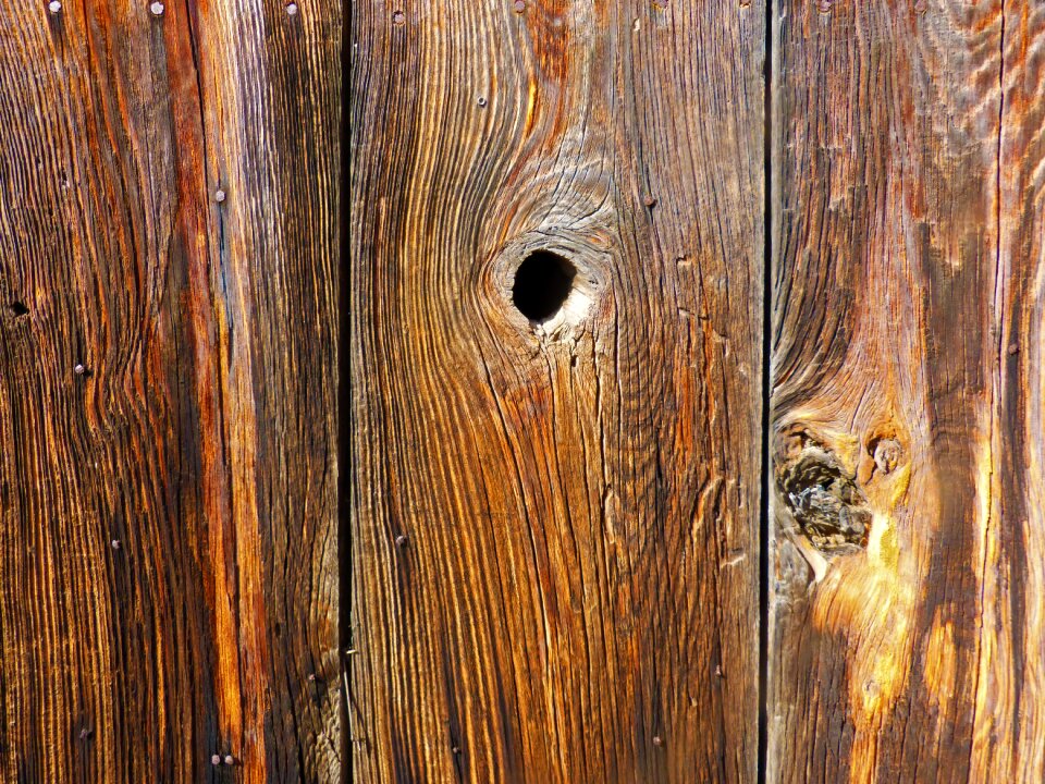 Texture background door