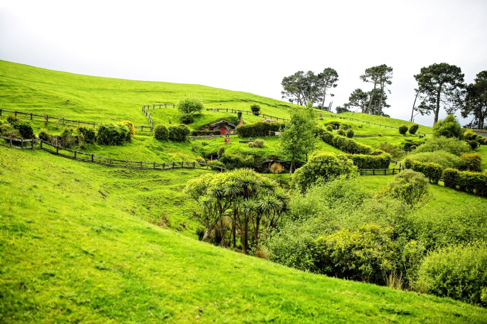 The hobby the shire matamata