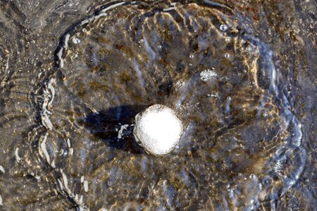 Water contact closeup
