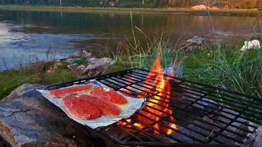 Fish barbecue grill photo