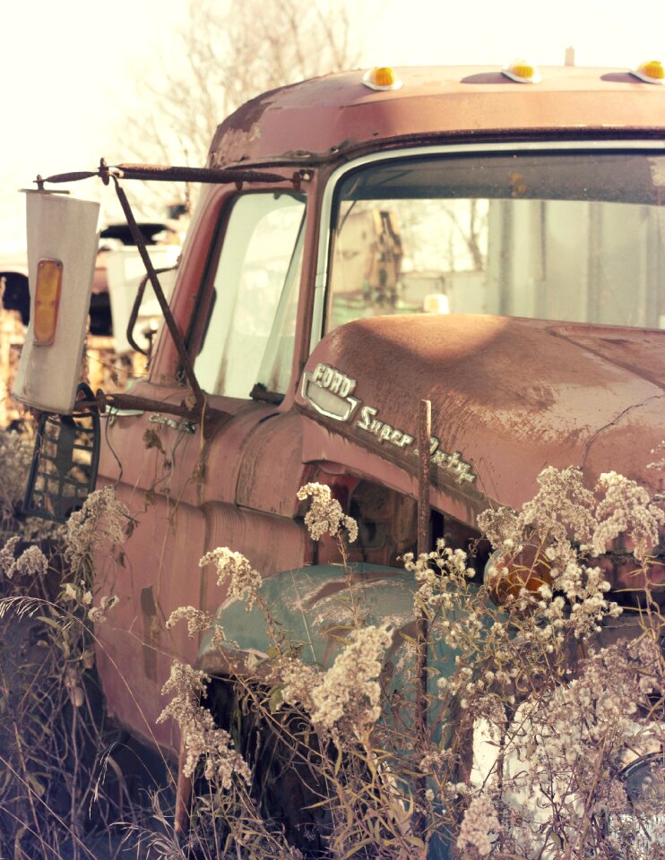 Vintage overgrown rusty
