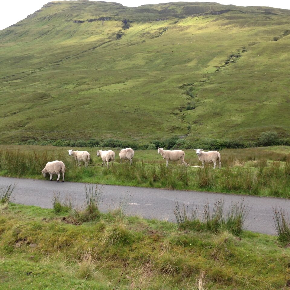 Scotland scottish nature