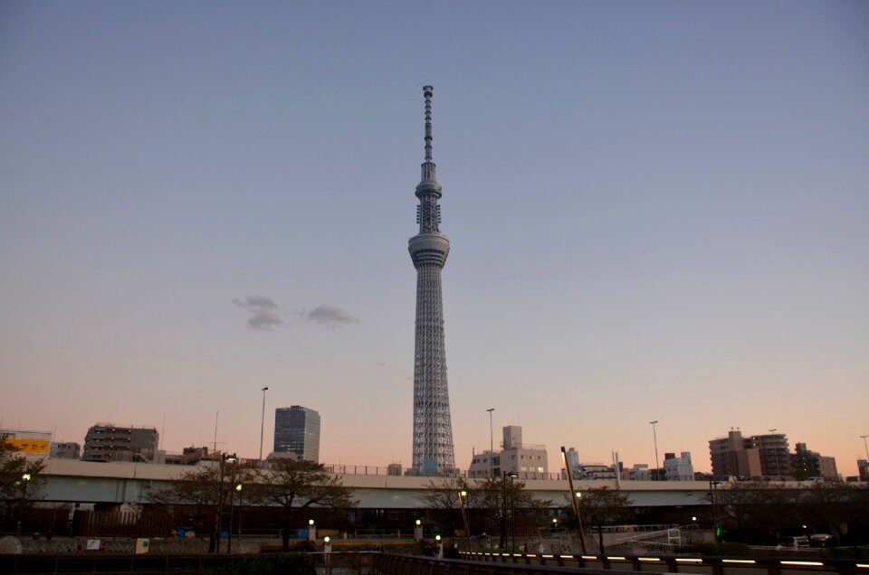 Tower evening cityscape