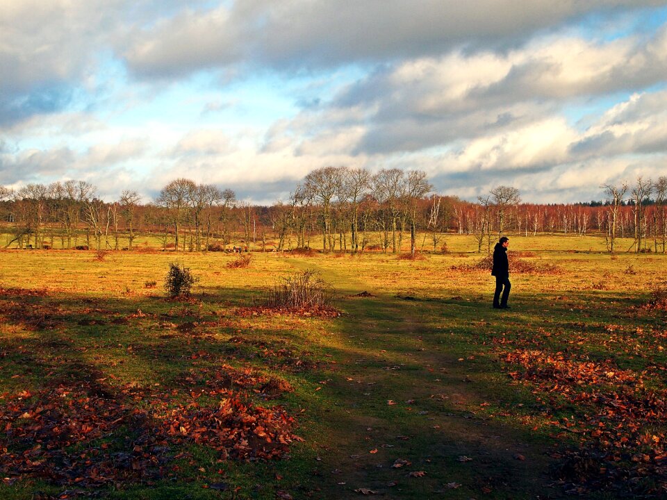 Hiking landscape netherlands