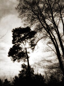 Mood winter brandenburg