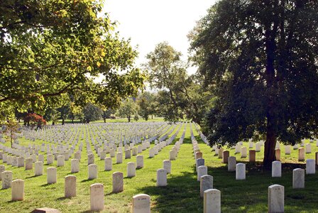 Cemetery soldiers graves photo