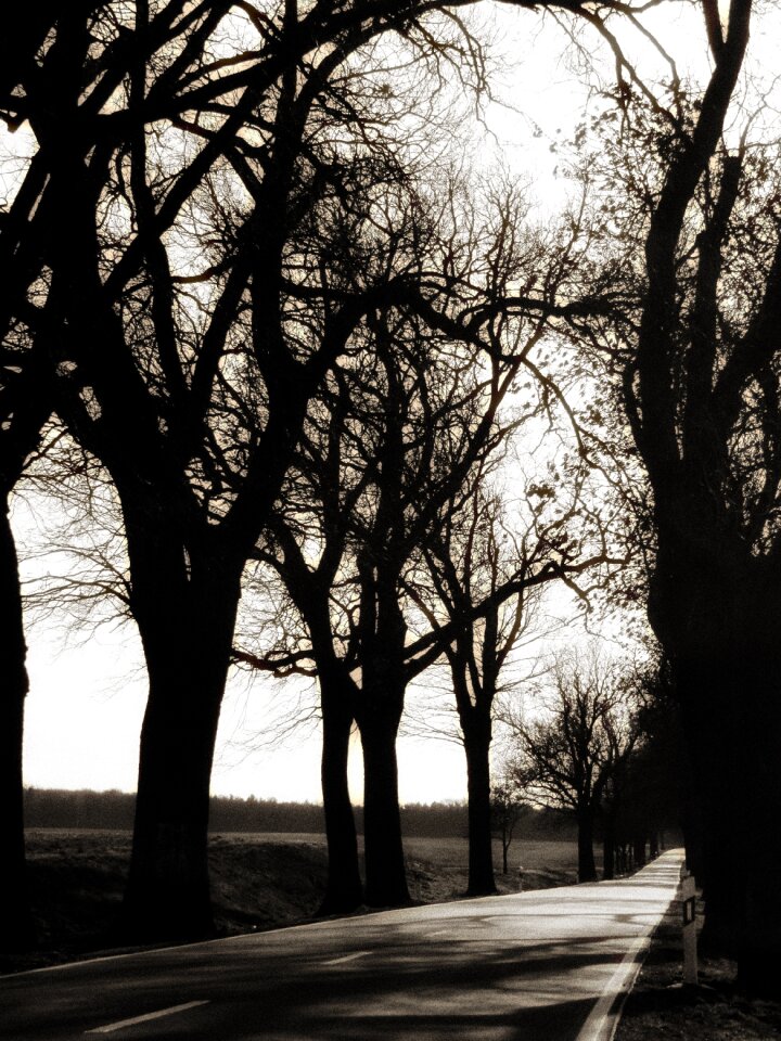 Mood winter brandenburg