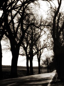 Mood winter brandenburg