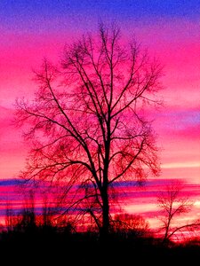 Nature sunlight landscape