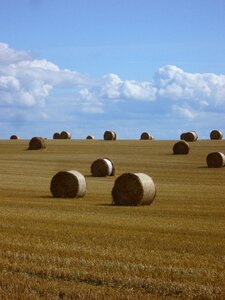 Agriculture clouds straw box