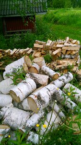 A pile of log birch photo
