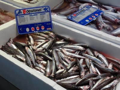 Fish market costs photo