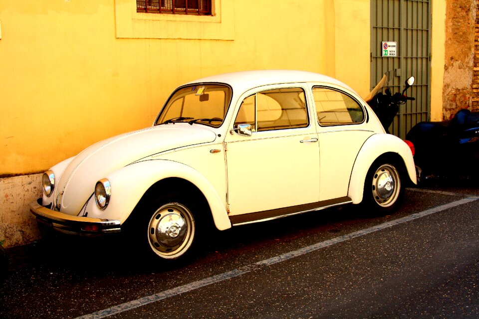 Vw white vw beetle