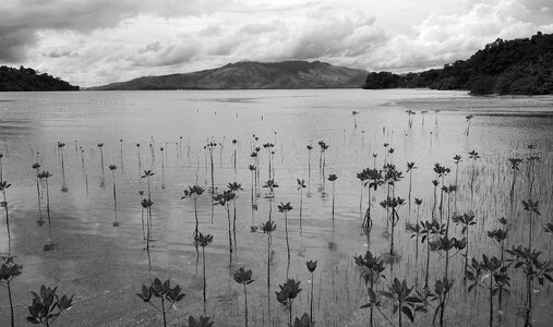 Landscape tropical water