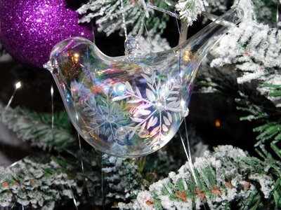 Ornament seasonal branch