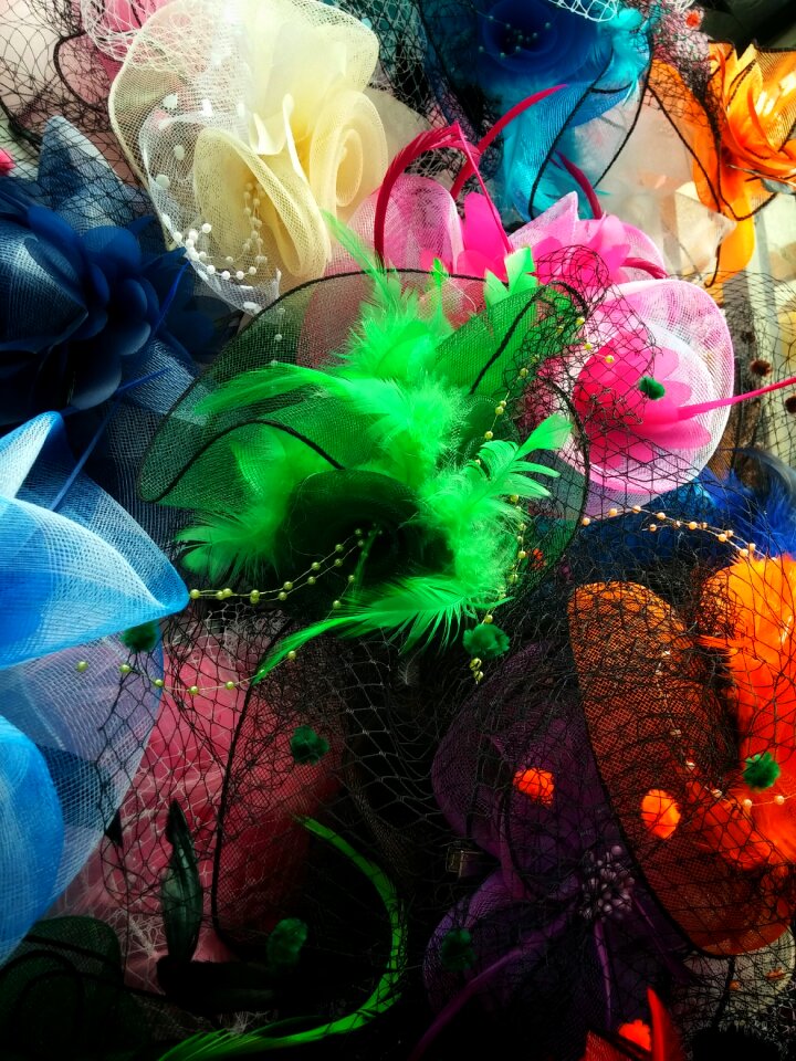Feathers racing horses