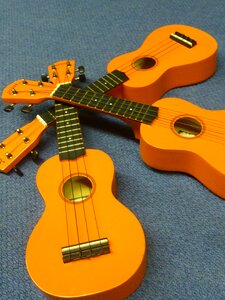 String acoustic instrument