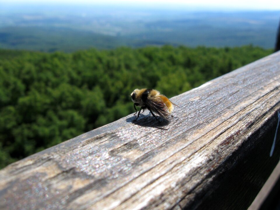 Views nature high