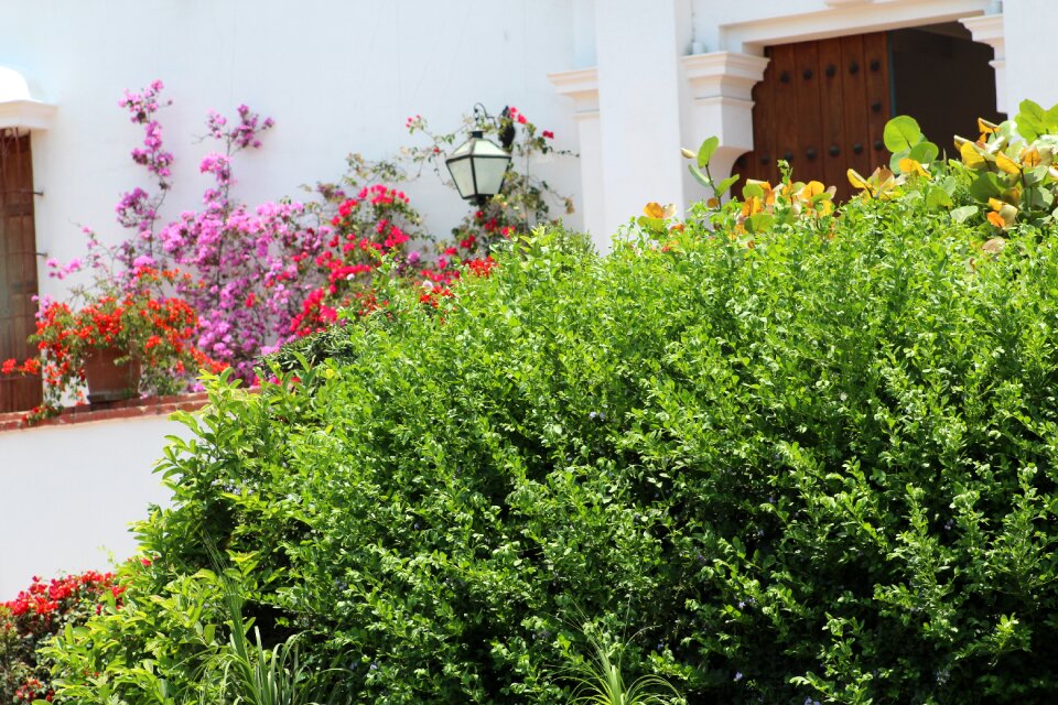 Nature spring garden