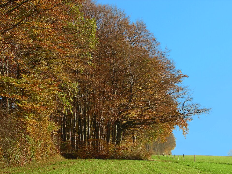 Mood landscape nature