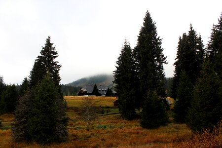 Fog house plain