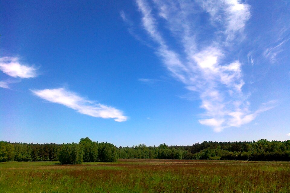 Horizon nature summer
