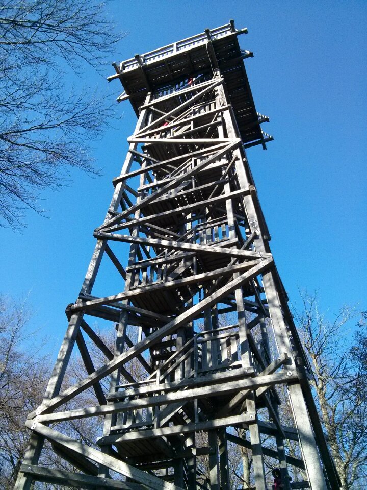 Wood construction