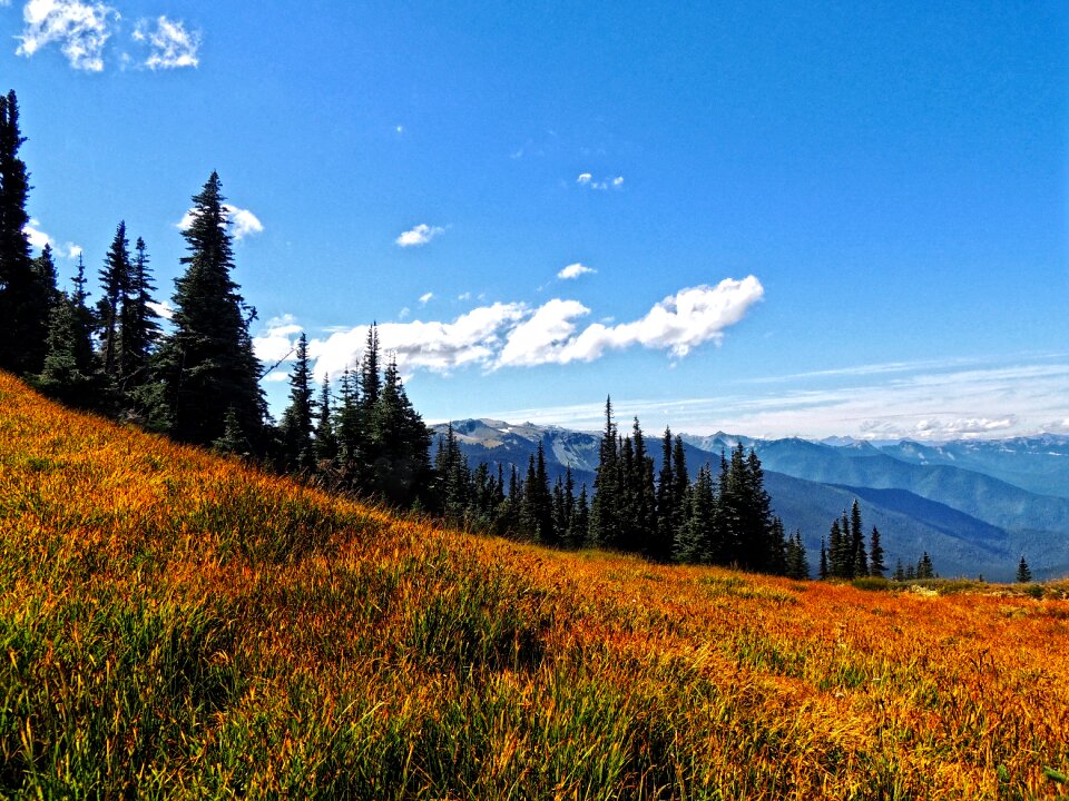Washington state nature park