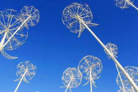 Construction in the sky dandelions photo