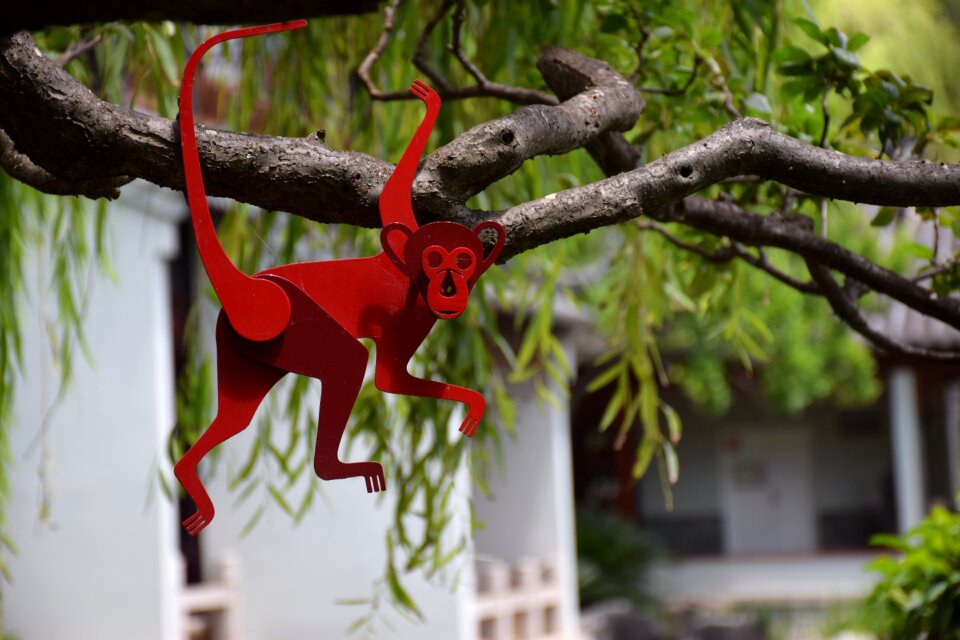 Tree the year of the monkey chinese new year