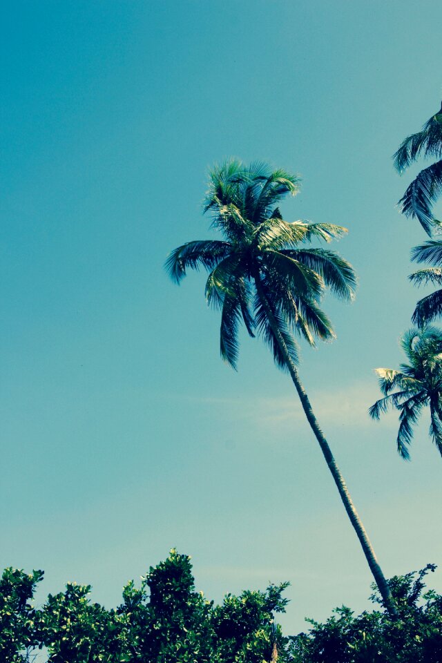 Vacations wave nature
