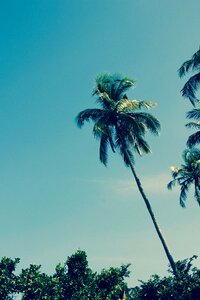 Vacations wave nature