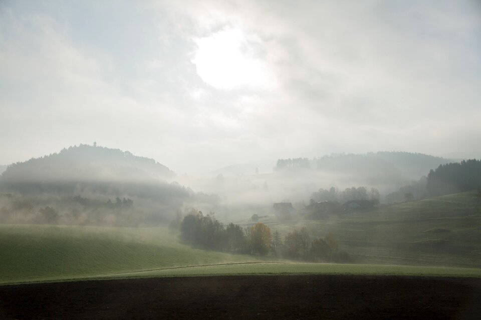 Meadow fog bank morning photo