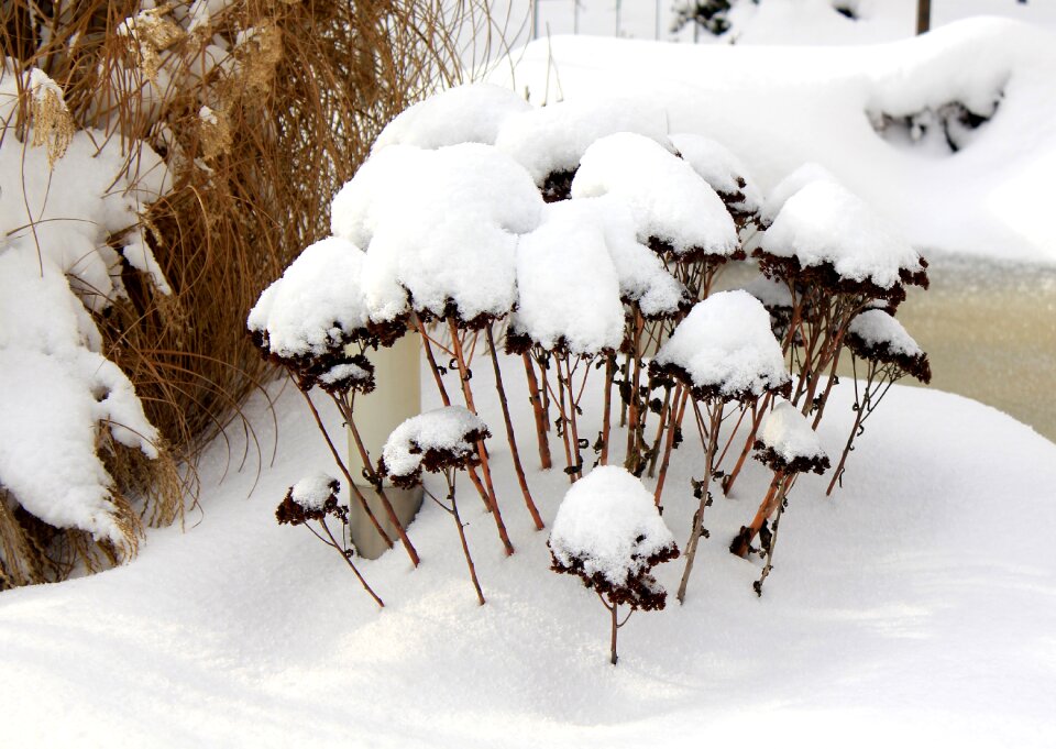 Winter snow winterimpression