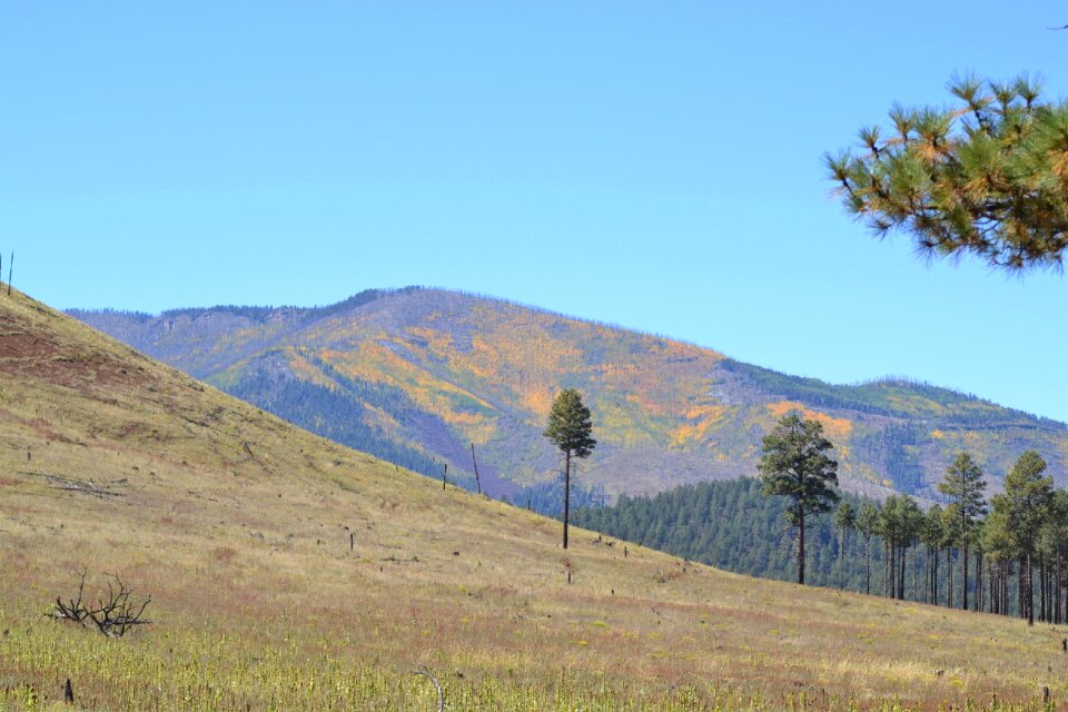 Fall mountain