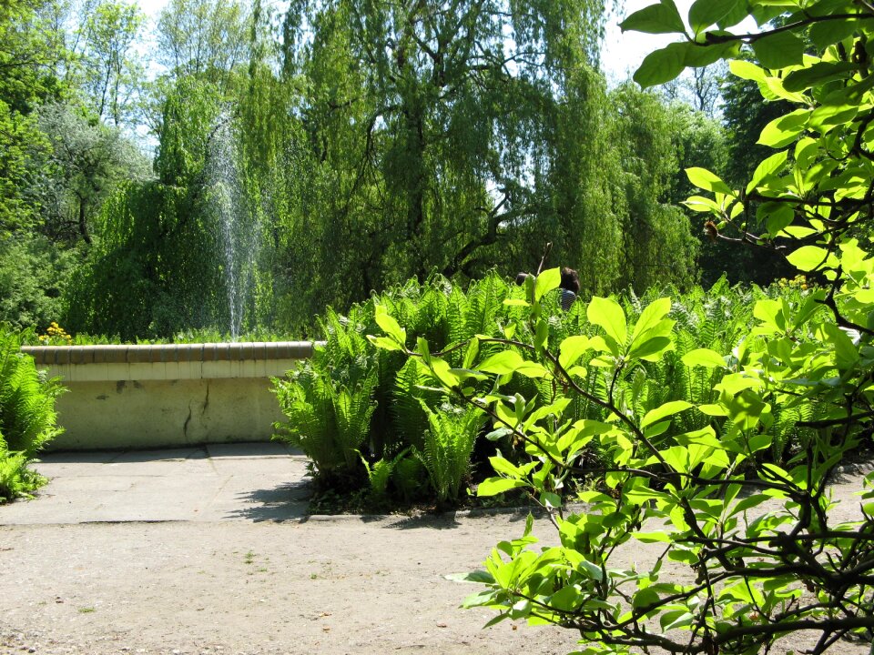 Nature green at the court of