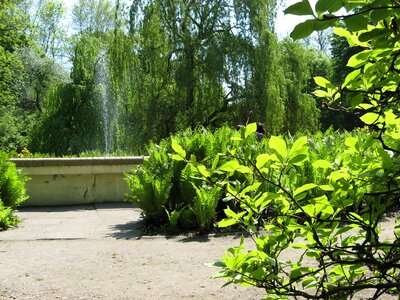 Nature green at the court of